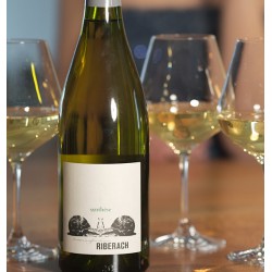 Riberach
Synthèse Blanc
100% Carignan Gris
75cl