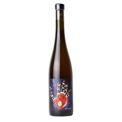 Artisan 2019 vin Orange